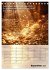 Der Geld-Anlock-Kalender (Tischkalender... - Bild 15