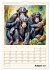Schimpansen & Gorillas (Wandkalender... - Bild 14