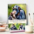 Schimpansen & Gorillas (Tischkalender... - Bild 2