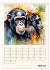 Schimpansen & Gorillas (Tischkalender... - Bild 12