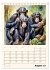 Schimpansen & Gorillas (Tischkalender... - Bild 14