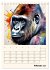 Schimpansen & Gorillas (Tischkalender... - Bild 8