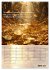 Der Geld-Anlock-Kalender (Wandkalender... - Bild 12