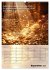 Der Geld-Anlock-Kalender (Wandkalender... - Bild 15
