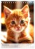 Katzenkinder (Tischkalender 2026 DIN A5... - Bild 4