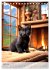 Katzenkinder (Tischkalender 2026 DIN A5... - Bild 10