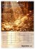 Der Geld-Anlock-Kalender (Wandkalender... - Bild 15