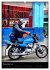 SUZUKI BIKER IN HAVANNA (hochwertiger... - Bild 3