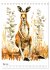 Australiens Tiere - Illustriert in... - Bild 11