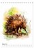 Australiens Tiere - Illustriert in... - Bild 14