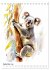 Australiens Tiere - Illustriert in... - Bild 15