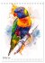 Australiens Tiere - Illustriert in... - Bild 3