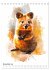 Australiens Tiere - Illustriert in... - Bild 4