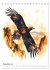 Australiens Tiere - Illustriert in... - Bild 5