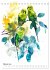 Australiens Tiere - Illustriert in... - Bild 8