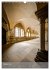 Kloster Maulbronn - Alte Mauern... - Bild 3