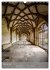 Kloster Maulbronn - Alte Mauern... - Bild 8