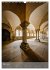 Kloster Maulbronn - Alte Mauern... - Bild 9