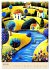 Bunte naive reise (Wandkalender 2026... - Bild 12