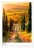 Toskana meine Liebe (Wandkalender 2026... - Bild 9