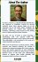HERBAL APOTHECARY AND NATURAL REMEDIES - Bild 2