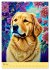 Golden Retriever. Kunstvolle Porträts... - Bild 11