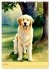 Golden Retriever. Kunstvolle Porträts... - Bild 12