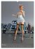 Werkstatt Bunnys (Wandkalender 2026 DIN... - Bild 11