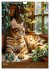 Kuschelkatzen - Fellnasen im... - Bild 11