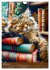 Kuschelkatzen - Fellnasen im... - Bild 7