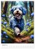 Der Aussiedoodle - Lebensfreude pur... - Bild 14