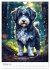 Der Aussiedoodle - Lebensfreude pur... - Bild 3