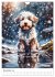 Der Aussiedoodle - Lebensfreude pur... - Bild 4
