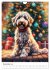 Der Aussiedoodle - Lebensfreude pur... - Bild 5