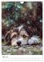 Der Aussiedoodle - Lebensfreude pur... - Bild 9