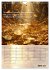 Der Geld-Anlock-Kalender (Wandkalender... - Bild 12