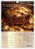 Der Geld-Anlock-Kalender (Wandkalender... - Bild 13
