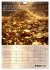 Der Geld-Anlock-Kalender (Wandkalender... - Bild 14