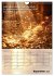 Der Geld-Anlock-Kalender (Wandkalender... - Bild 15