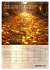 Der Geld-Anlock-Kalender (Wandkalender... - Bild 7