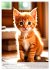Katzenkinder (hochwertiger Premium... - Bild 11