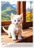 Katzenkinder (hochwertiger Premium... - Bild 13