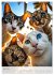 Lustige Tier-Selfies (Wandkalender 2026... - Bild 12