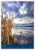 Cospudener See (hochwertiger Premium... - Bild 12