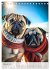 Mein Mops-Kalender (Tischkalender 2026... - Bild 8