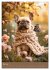 Frenchie Couture - Französische... - Bild 11