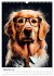 Hunde im Hipster Stil (Wandkalender... - Bild 15