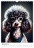 Hunde im Hipster Stil (Wandkalender... - Bild 4
