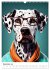 Hunde im Hipster Stil (Wandkalender... - Bild 5
