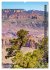 GRAND CANYON Imposante Aussichten... - Bild 5